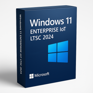 Keys Experts Windows 11 Enterprise IoT LTSC 2024 Key