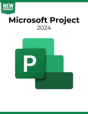 MS Project 2024