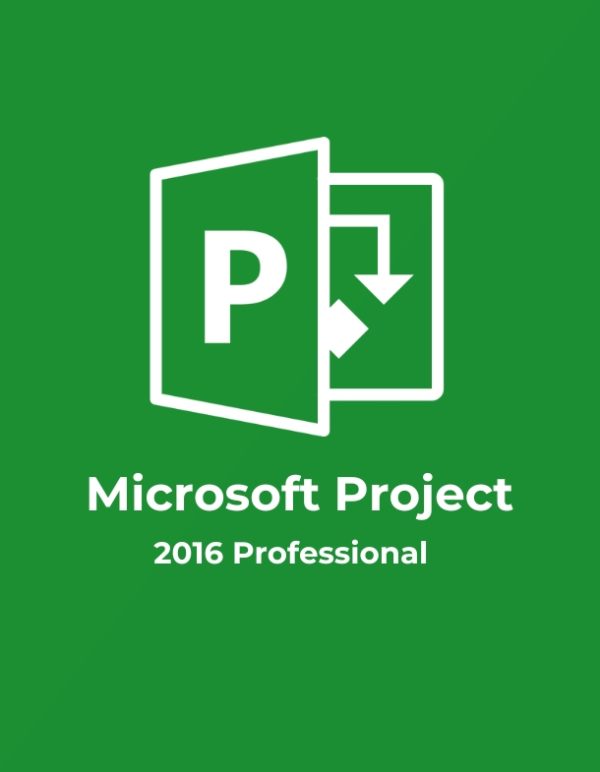 Project 2016 Professional