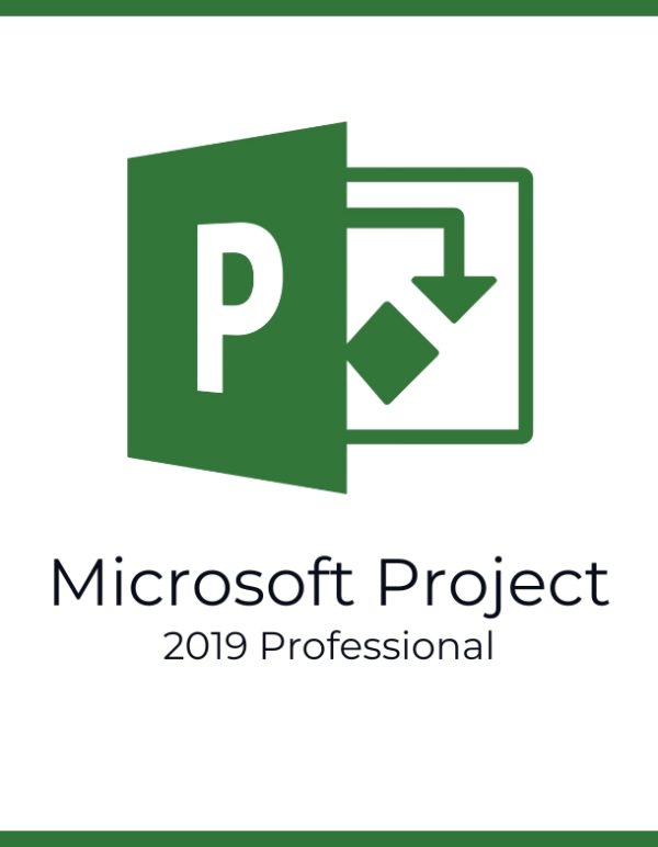 Project 2019 Professional