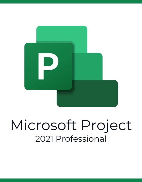 Project 2021 Professional