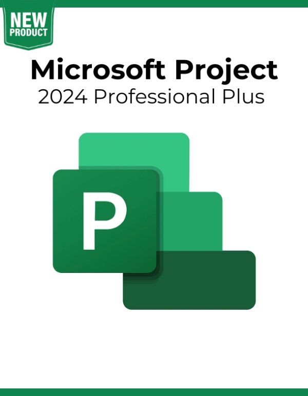 Project 2024 Professional