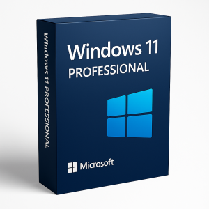 Windows 11 Professional