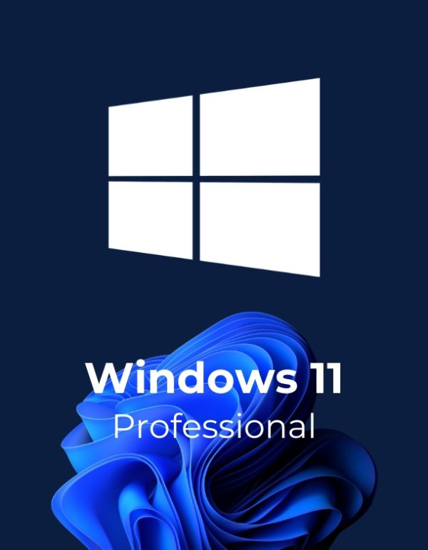 Windows 11 Professional