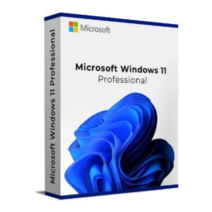 microsoft windows 11 professional