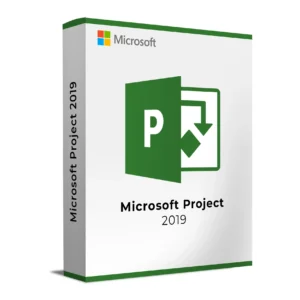 project 2019