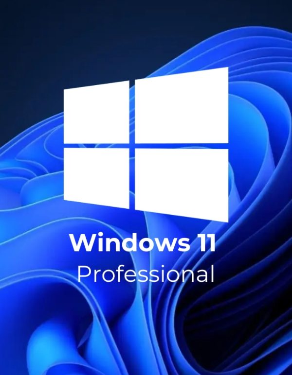 Windows 11 Professional