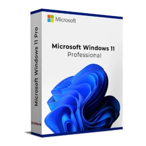 Windows 11 Professional