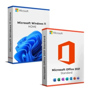 windows 11 home office 2021 standard