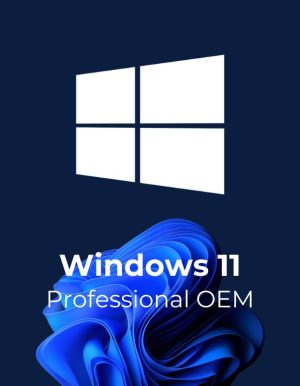 Windows 11 Professional - OEM