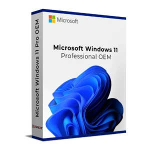 Windows 11 Professional OEM