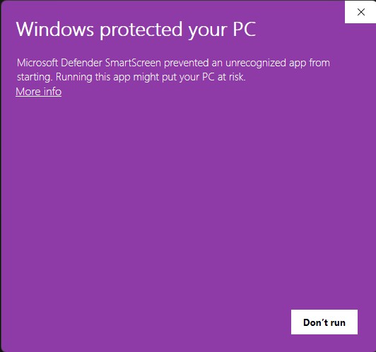 windows protected more info