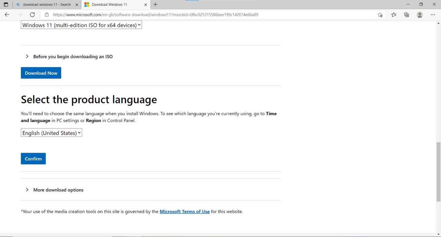 Select Windows 11 ISO product language
