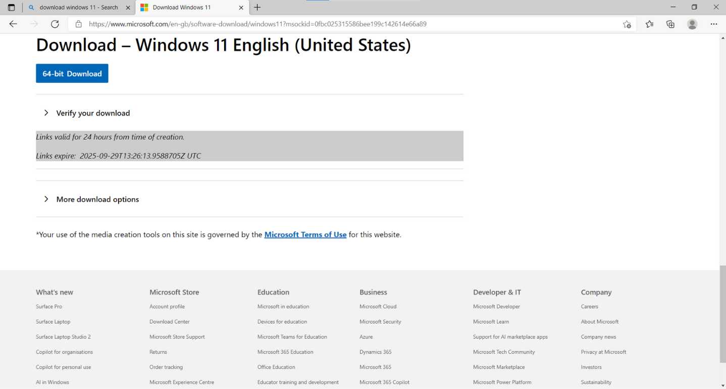 Windows 11 ISO download link