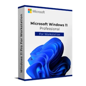 windows 11 professional workstation