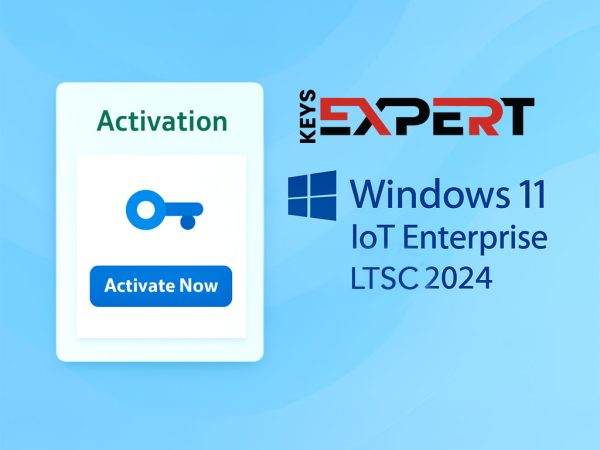 Activate Windows 11 IoT Enterprise LTSC 2024 1