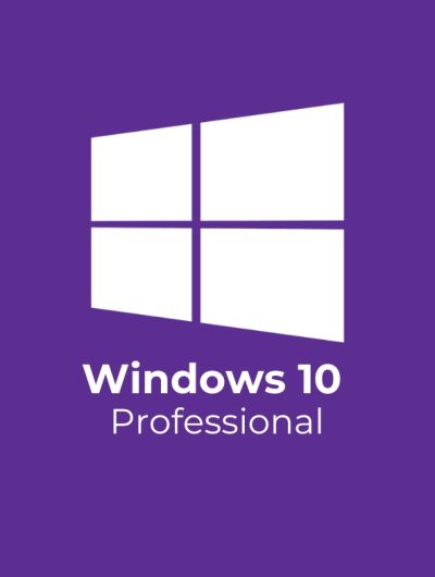 window 10 professional